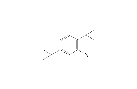 (2,5-ditert-butylphenyl)amine