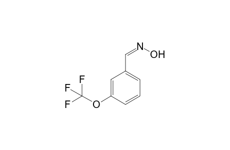 3-(Trifluoromethoxy)benzaldoxime