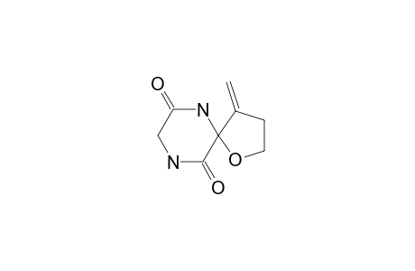 4-METHYLENE-1-OXA-6,9-DIAZASPIRO-[4.5]-DECANE-7,10-DIONE