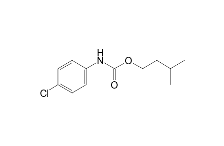 p-chlorocarbanilic acid, isopentyl ester