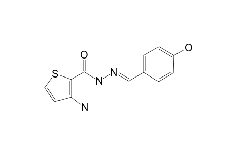 3-AMINO-N'-[(1E)-(4-HYDROXYPHENYL)-METHYLENE]-2-THIOPHENECARBOHYDRAZIDE;LASSBIO-1657