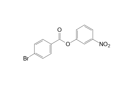 p-bromobenzoic acid, m-nitrophenyl ester