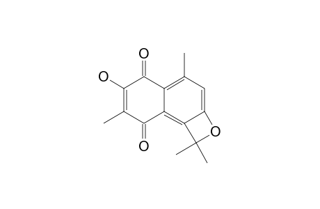 AMENTOTAXONE