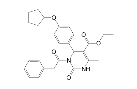 5-Pyrimidinecarboxylic acid, 6-[4-(cyclopentyloxy)phenyl]-1,2,3,6-tetrahydro-4-methyl-2-oxo-1-(2-phenylacetyl)-, ethyl ester