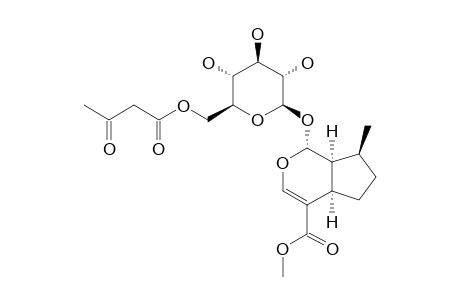 6'-O-ACETOACETYL-1,5,9-EPIDEOXYLOGANIN