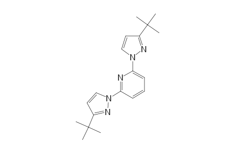 2,6-bis(3-tert-butylpyrazol-1-yl)pyridine