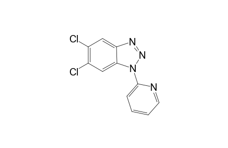 5,6-Dichloro-1-(pyridin-2-yl)-1H-benzo[d][1,2,3]triazole