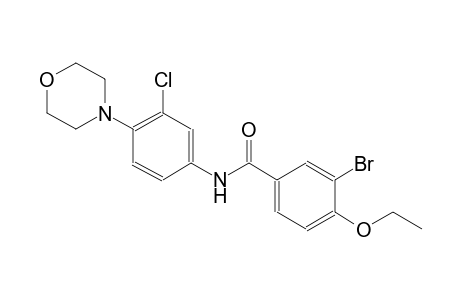 3-bromo-N-[3-chloro-4-(4-morpholinyl)phenyl]-4-ethoxybenzamide
