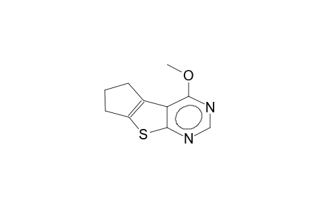 4-methoxy-6,7-dihydro-5H-cyclopenta[4,5]thieno[2,3-d]pyrimidine