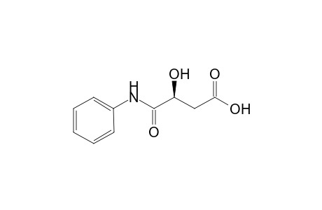 (S)-3-Hydroxy-N-phenylsuccinamic acid