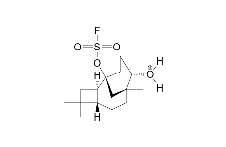 (1R,2S,5R,8S,9R)-1-FLUOROSULPHONYLOXY-9-HYDROXYCARIOLAN, PROTONATED