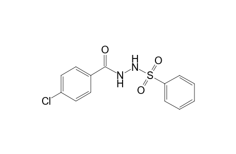 4-Chloranyl-N'-(phenylsulfonyl)benzohydrazide