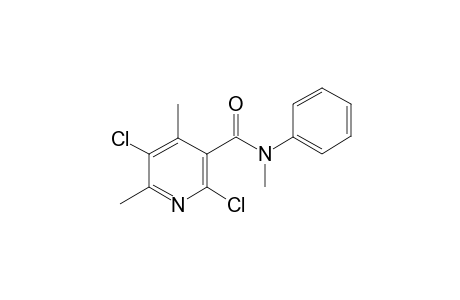 2,5-bis(chloranyl)-N,4,6-trimethyl-N-phenyl-pyridine-3-carboxamide