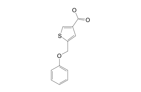 2-Phenoxymethyl-4-thiophen-carboxylic-acid