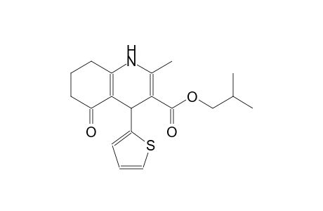 3-quinolinecarboxylic acid, 1,4,5,6,7,8-hexahydro-2-methyl-5-oxo-4-(2-thienyl)-, 2-methylpropyl ester
