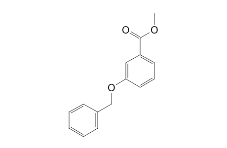 METHYL-3-BENZYLOXYBENZOATE