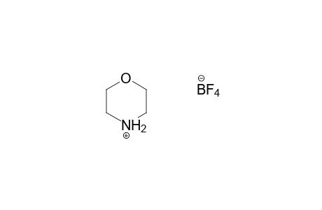 morpholine, hydrogen tetrafluoroborate(1-)