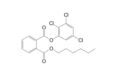 Phthalic acid, hexyl 2,3,5-trichlorophenyl ester