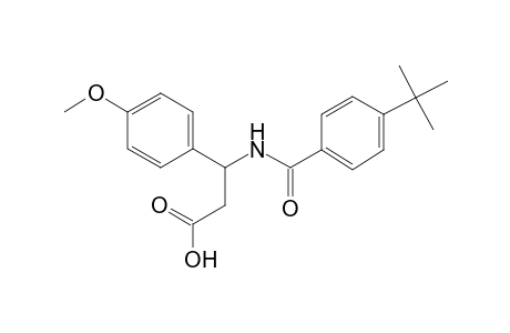 3-[(4-tert-butylbenzoyl)amino]-3-(4-methoxyphenyl)propanoic acid