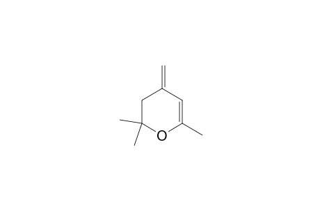 2,2,6-Trimethyl-4-methylene-2H-pyran