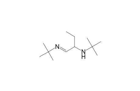 2-Butanamine, N-(1,1-dimethylethyl)-1-[(1,1-dimethylethyl)imino]-