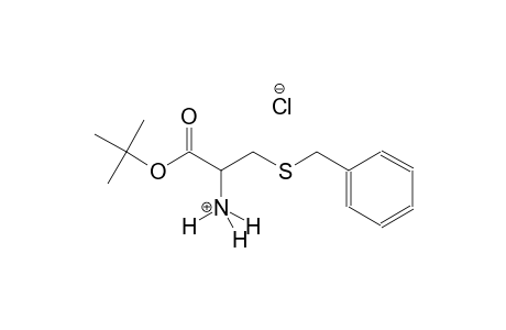 (2S)-3-(benzylsulfanyl)-1-tert-butoxy-1-oxo-2-propanaminium chloride