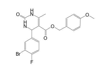 (4-methoxyphenyl)methyl 4-(3-bromanyl-4-fluoranyl-phenyl)-6-methyl-2-oxidanylidene-3,4-dihydro-1H-pyrimidine-5-carboxylate