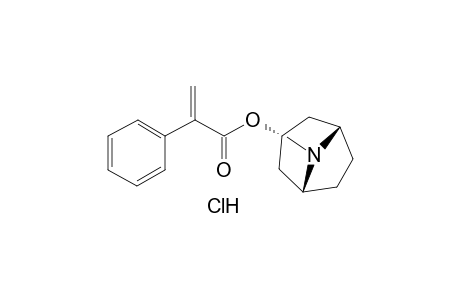 apoatropine, hydrochloride