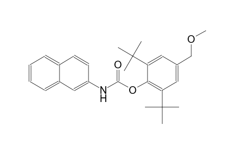 2,6-ditert-butyl-4-(methoxymethyl)phenyl 2-naphthylcarbamate