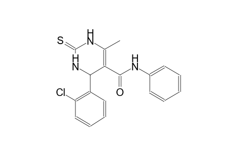1,2,3,4-Tetrahydro-6-methyl-4-(2-chlorophenyl)-2-thio-oxo-N-phenylpyrimidine-5-carboxamide