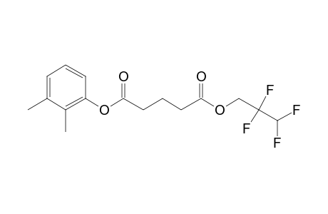 Glutaric acid, 2,2,3,3-tetrafluoropropyl 2,3-dimethylphenyl ester