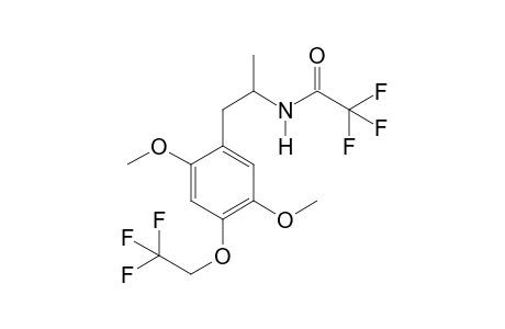 MTFEM TFA