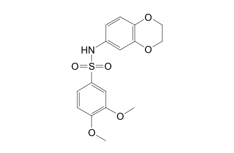 Benzenesulfonamide, N-(2,3-dihydrobenzo[1,4]dioxin-6-yl)-3,4-dimethoxy-