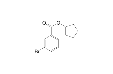 3-Bromobenzoic acid cyclopentyl ester