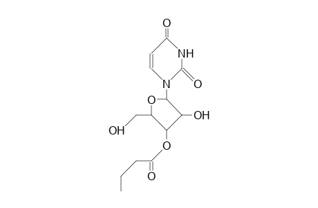 3'-O-Butyryl-uridine
