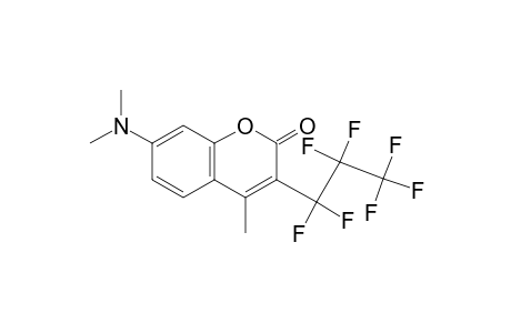 7-dimethylamino-3-heptafluoropropyl-4-methylcoumarin