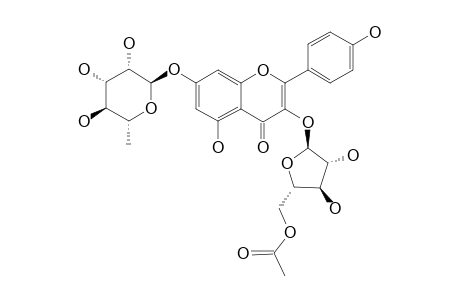CISSOSIDE-I;KAEMPFEROL-3-O-ALPHA-L-(5''-O-ACETYL)-ARABINOFURANOSYL-7-O-ALPHA-L-RHAMNOPYRANOSIDE