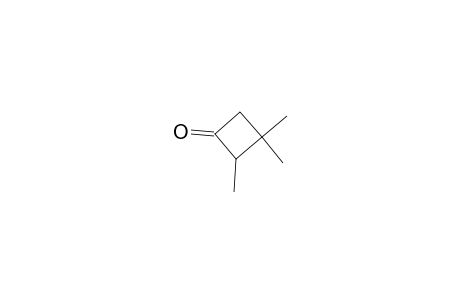 Cyclobutanone, 2,3,3-trimethyl-