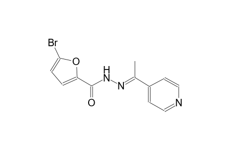 5-bromo-N'-[(E)-1-(4-pyridinyl)ethylidene]-2-furohydrazide
