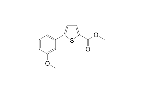 5-(3-Methoxyphenyl)thiophene-2-carboxylic acid methyl ester