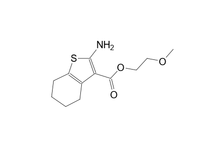 2-methoxyethyl 2-amino-4,5,6,7-tetrahydro-1-benzothiophene-3-carboxylate