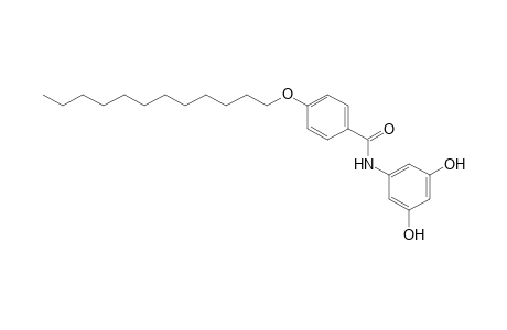 Benzamide, N-(3,5-dihydroxyphenyl)-4-(dodecyloxy)-