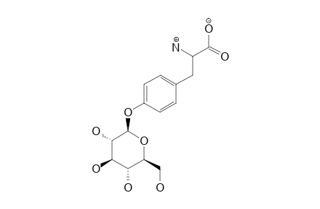 GLUCOSYLTYROSINE;4-O-(1-BETA-GLUCOPYRANOSYL)-TYROSINE;SUGAR-A