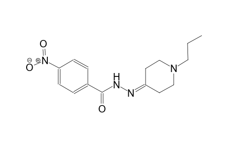 4-nitro-N'-(1-propyl-4-piperidinylidene)benzohydrazide