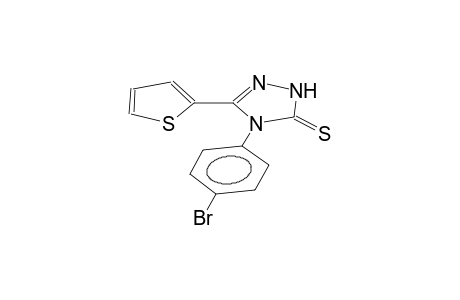3-(2-thienyl)-4-(4-bromophenyl)-5-thioxo-4,5-dihydro-1H-1,2,4-triazole