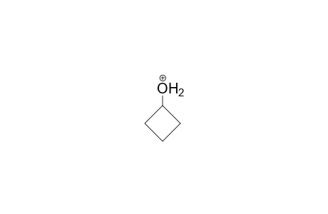 Cyclobutanol protonated
