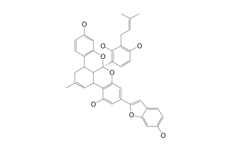 MULBERROFURAN-F