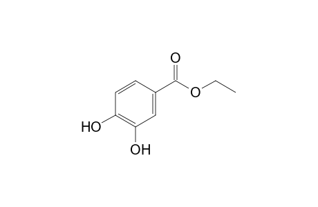 Protocatechuic acid ethyl ester