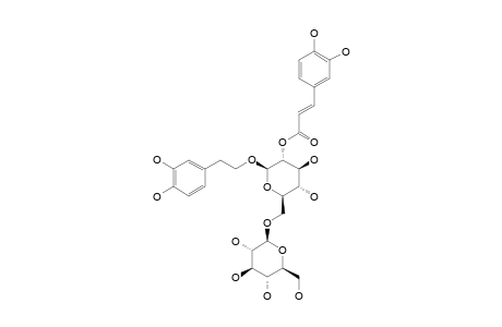 FERRUGINOSIDE-A;3,4-DIHYDROXY-BETA-PHENYLETHOXY-O-BETA-D-GLUCOPYRANOSYL-(1->6)-2-O-CAFFEOYL-BETA-D-GLUCOPYRANOSIDE