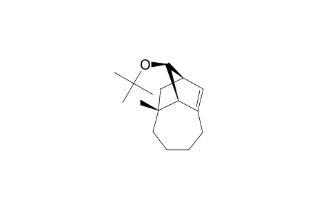 (1R*,8R*,9S*,10R*)-10-TERT.-BUTOXY-8-METHYLTRICYCLO-[6.2.1.0-(3,9)]-UNDEC-2-ENE